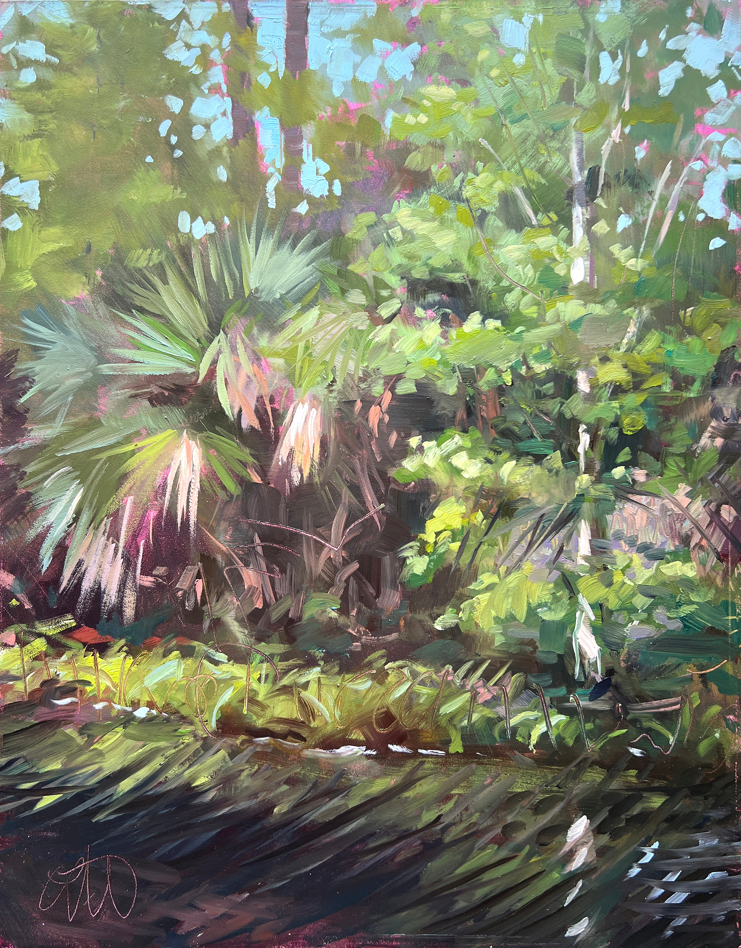 Delayed Sunlight, 2025
14 x 11 in. Oil on Panel
Painted en Plein Air
Riverbend Park - Jupiter, FL